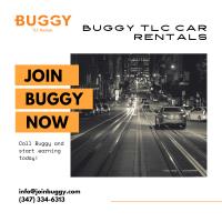 Buggy TLC Car Rentals image 3