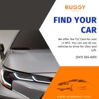 Buggy TLC Car Rentals image 2