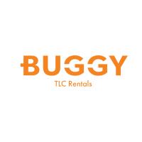 Buggy TLC Car Rentals image 1
