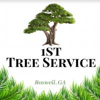 1st Tree Service image 3