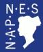 napnescertsprep.com logo