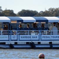 Harborbar Pedal Tours image 12