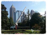 Atlanta Classic Tree Service image 2