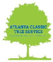 Atlanta Classic Tree Service image 7