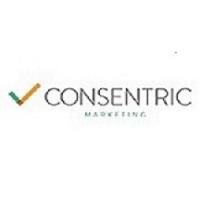  Consentric Marketing  image 6