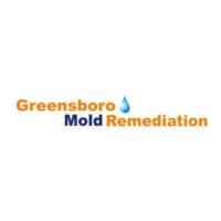 Greensboro Mold Remediation Inc image 1
