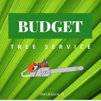 Budget Tree Service PSL image 2