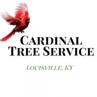 Cardinal Tree Service Louisville image 2