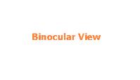 Binocular View image 1
