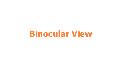 Binocular View logo
