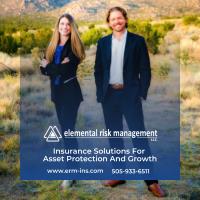 Elemental Risk Management image 1
