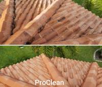 Clearwater Pressure Washing & Roof Cleaning image 6