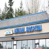 Wilderness Animal Hospital image 2