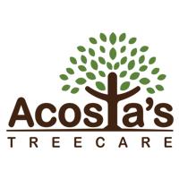 Acosta's Tree Care image 2