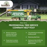 Acosta's Tree Care image 1