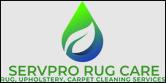 Pro Rug Cleaning Scarsdale image 1