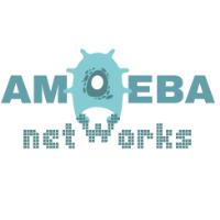 Amoeba Networks image 1