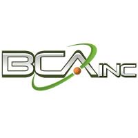 BCA IT, Inc. image 1