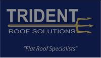 Trident Roof Solutions image 3