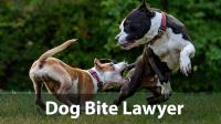 Makarone Law Firm image 9