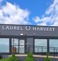 Laurel Harvest image 2