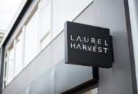 Laurel Harvest image 4