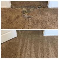 Raleigh Carpet Repair & Cleaning image 2