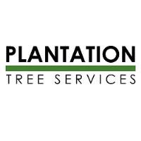 Plantation Tree Services image 1