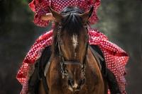 British Equestrian Events image 1