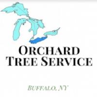 Orchard Tree Service image 3