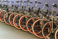 American Bicycle Rental Company image 7