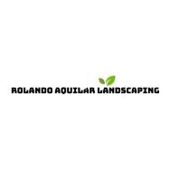 Professional Landscaping Team image 1