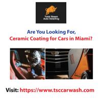 Miami Total Steam Auto Detailing & Car Wash 2020 image 1