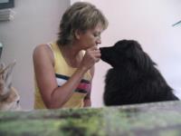 Pawz For Health In Home Dog Training image 3
