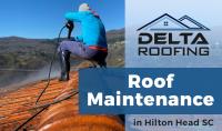 Delta Roofing image 2