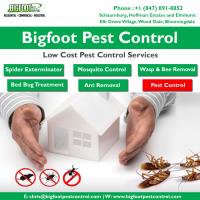 Bigfoot Pest Control image 2