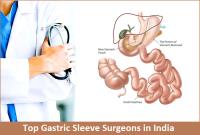 Top Gastric Sleeve Surgeons in India image 1