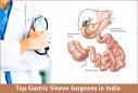 Top Gastric Sleeve Surgeons in India logo