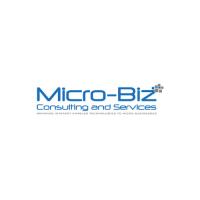 Micro-Biz Consulting & Services image 1