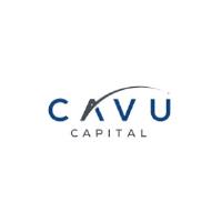 Investment Banking Services - CAVU Capital image 4