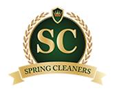 Spring Cleaners image 1
