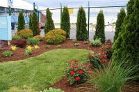 Shannon Lawn & Landscaping image 2
