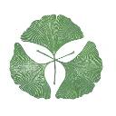 Ginkgo Natural Health logo