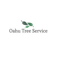 Oahu Tree Trimming and Removal Experts image 1