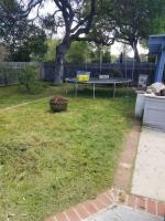Dirty Jobs Dog Waste Removal image 7