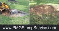 PMG Stump Removal Service image 2