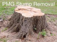 PMG Stump Removal Service image 1