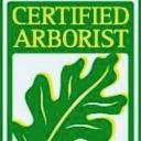 Elite Tree Care LLC logo
