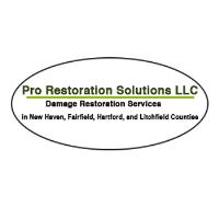Pro Restoration Solutions image 4