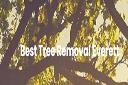 Best Tree Service Everett logo